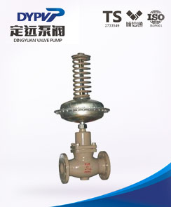 自力式調(diào)節(jié)閥